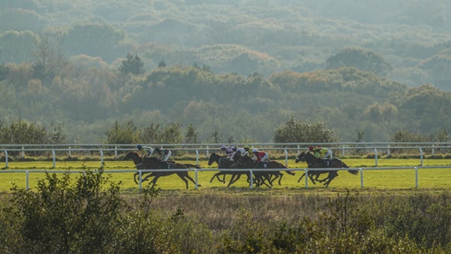 Romanza seeks first success at Ffos Las