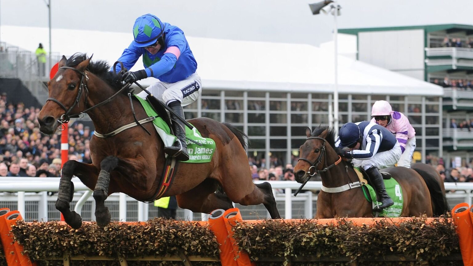 Dual Champion Hurdle winner Hurricane Fly dies aged 22