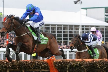 Dual Champion Hurdle winner Hurricane Fly dies aged 22