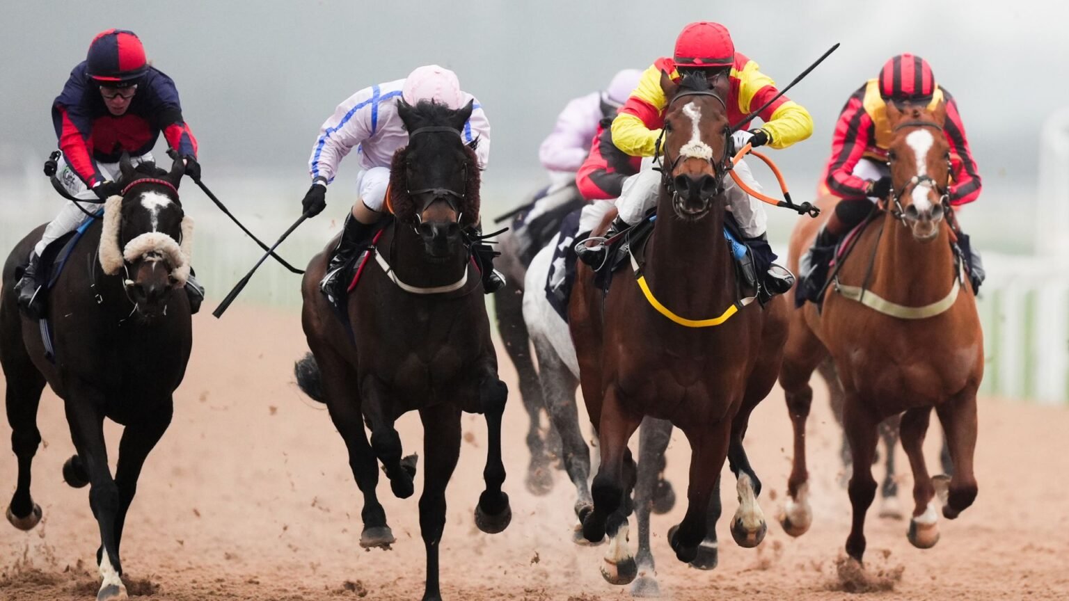 Fiorella Princess and Elvetham clash at Southwell