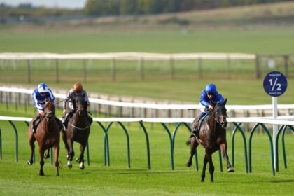 Talk Of New York shines in Joel Stakes