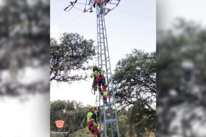 Girl suffers severe electrical burns after climbing pylon ‘for online challenge’