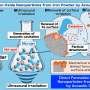 Using sound waves to turn iron and water into magnetic nanoparticles