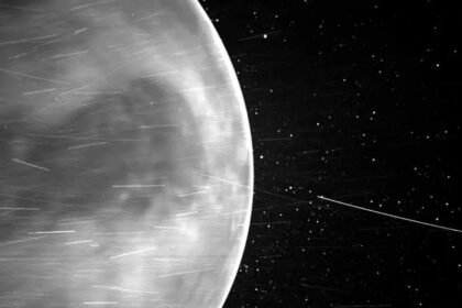 Venus May Have Devoured Its Moon