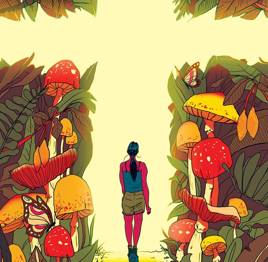 Inside the New Psychedelic Awakening