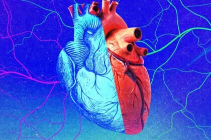 Young organs may not be a fountain of youth for recipients