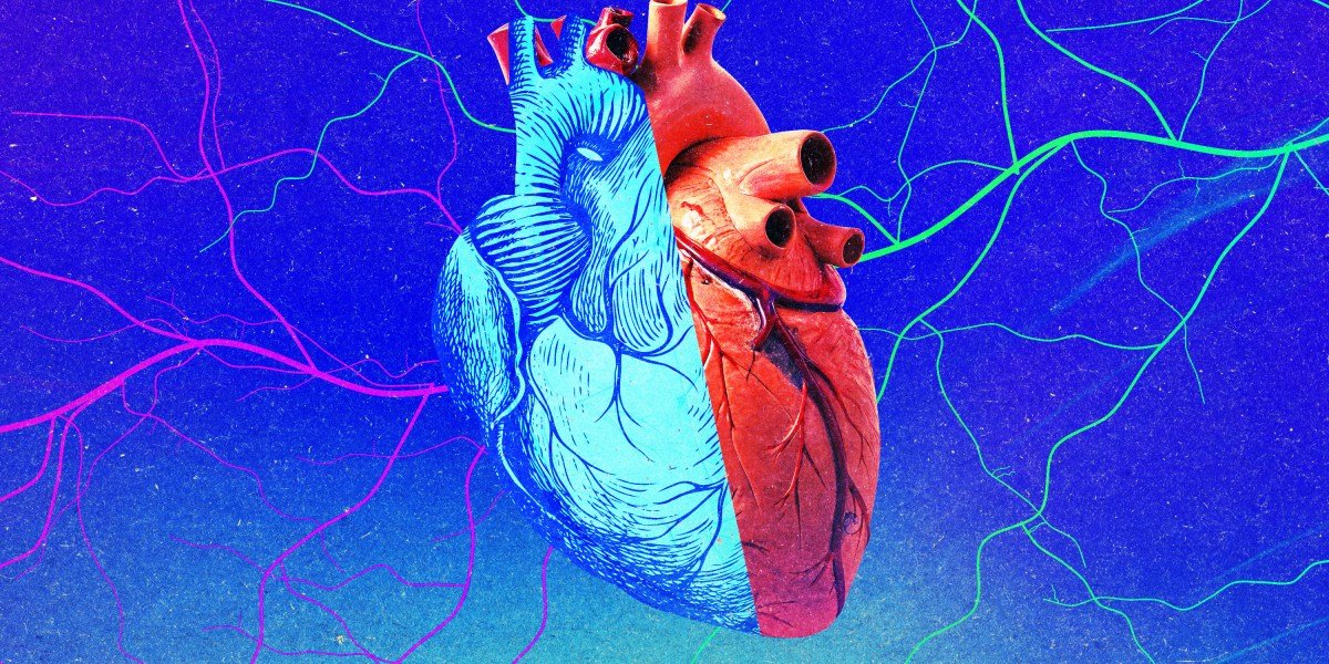 Young organs may not be a fountain of youth for recipients