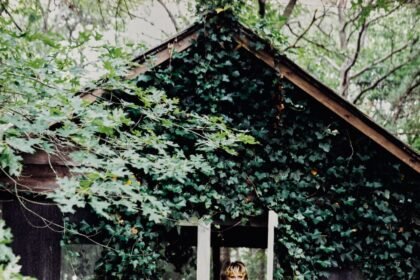 Why Litchfield County, Connecticut Is the Perfect Autumnal Weekend Getaway