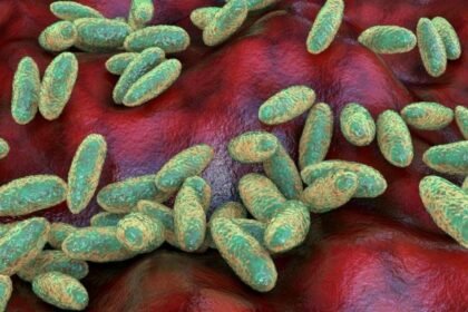 What is pneumonic plague and how does it spread?