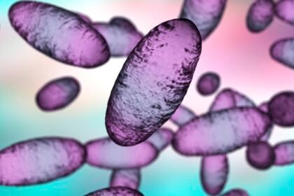 Russia plague: How great is the global risk? Maybe low, but infectious disease experts want more data