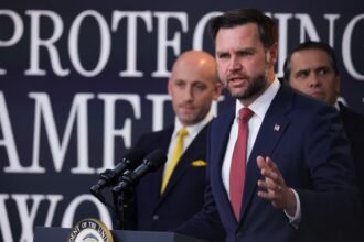 India calls JD Vance's comments about immigrants 'deeply offensive'