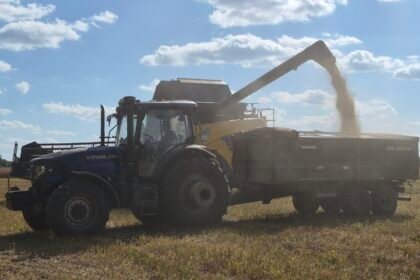 The world needs Ukraine’s grain. Its farmers are running out of reasons to plant