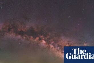 Alone with the stars, lynx and wolves in ‘Empty Spain’