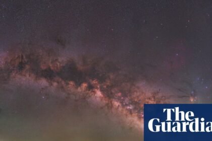 Alone with the stars, lynx and wolves in ‘Empty Spain’
