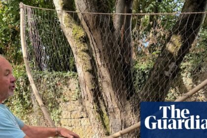 Country diary: Lave net fishing is a tradition in trouble | Gwyneth Lewis