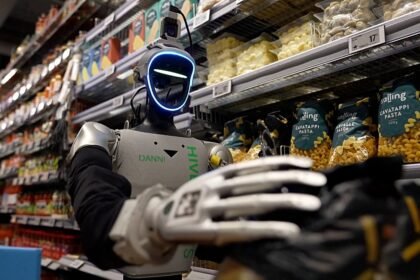 Denmark tests humanoid robots in supermarkets to help to ease staff workload at night