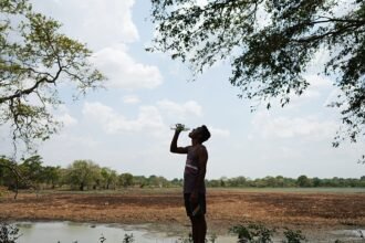 Dry wells and shrinking water holes as drought grips Sri Lanka
