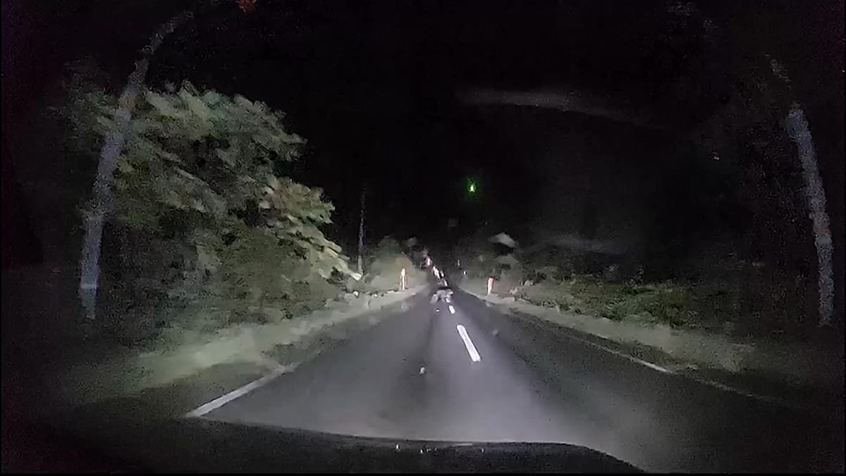 Video shows bear slamming into car in northern Japan
