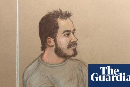 Ann Widdecombe murder suspect charged with planning terror act against Nigel Farage