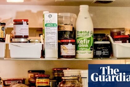 Beansprouts, nonya paste and kefir – whose fridge is this?