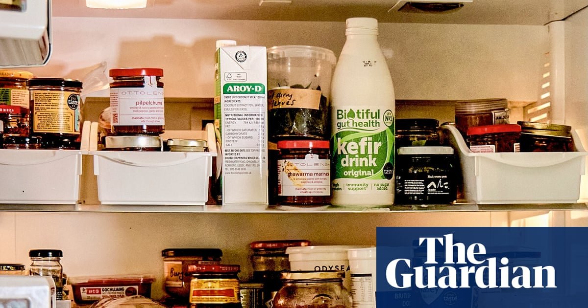 Beansprouts, nonya paste and kefir – whose fridge is this?