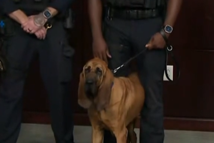 See the moment a police dog found a missing boy in the Maryland woods