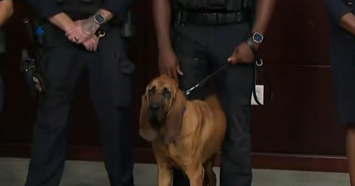 See the moment a police dog found a missing boy in the Maryland woods
