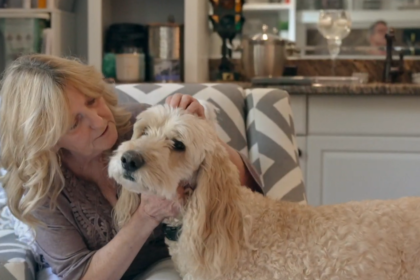 When 2 dogs went missing in a car crash, a volunteer spent weeks searching