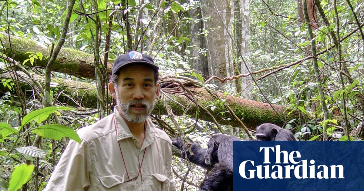 ‘I didn’t want to write about this’: the man who first saw chimps waging civil war