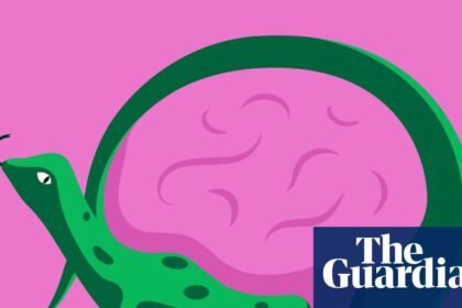 Do humans really have a ‘lizard brain’ lurking beneath our rational minds?