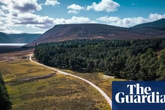 ‘It’s hard to imagine the fires of July’: a bike ride through the Cairngorms in Scotland