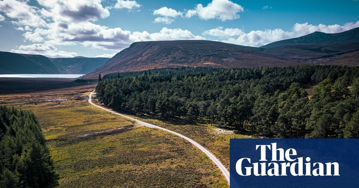 ‘It’s hard to imagine the fires of July’: a bike ride through the Cairngorms in Scotland