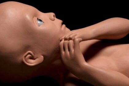 Stanley Kubrick Auction to Feature ‘2001’ Star Child, Axe From ‘The Shining’