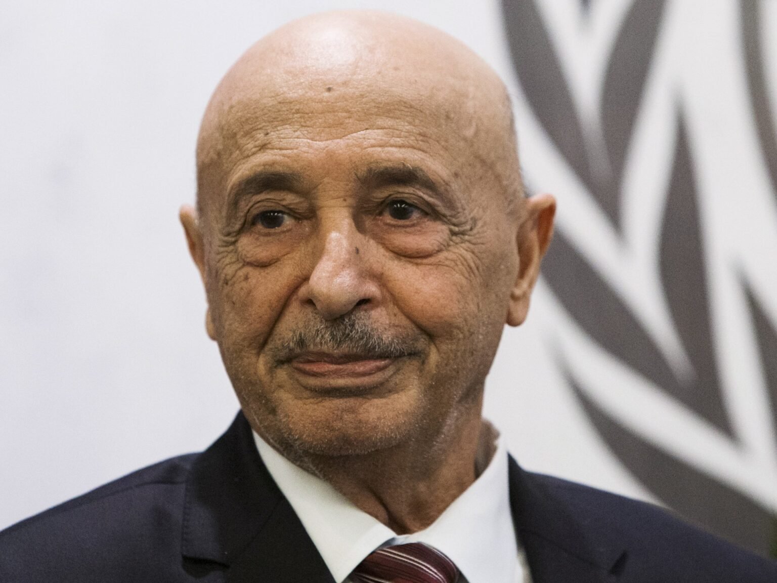 Libya’s parliament removes Speaker Aguila Saleh after 12 years