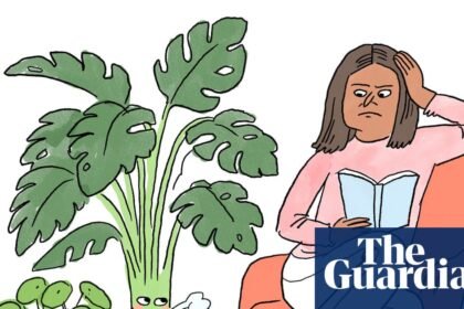Is it true that … houseplants freshen the air in our homes and offices?