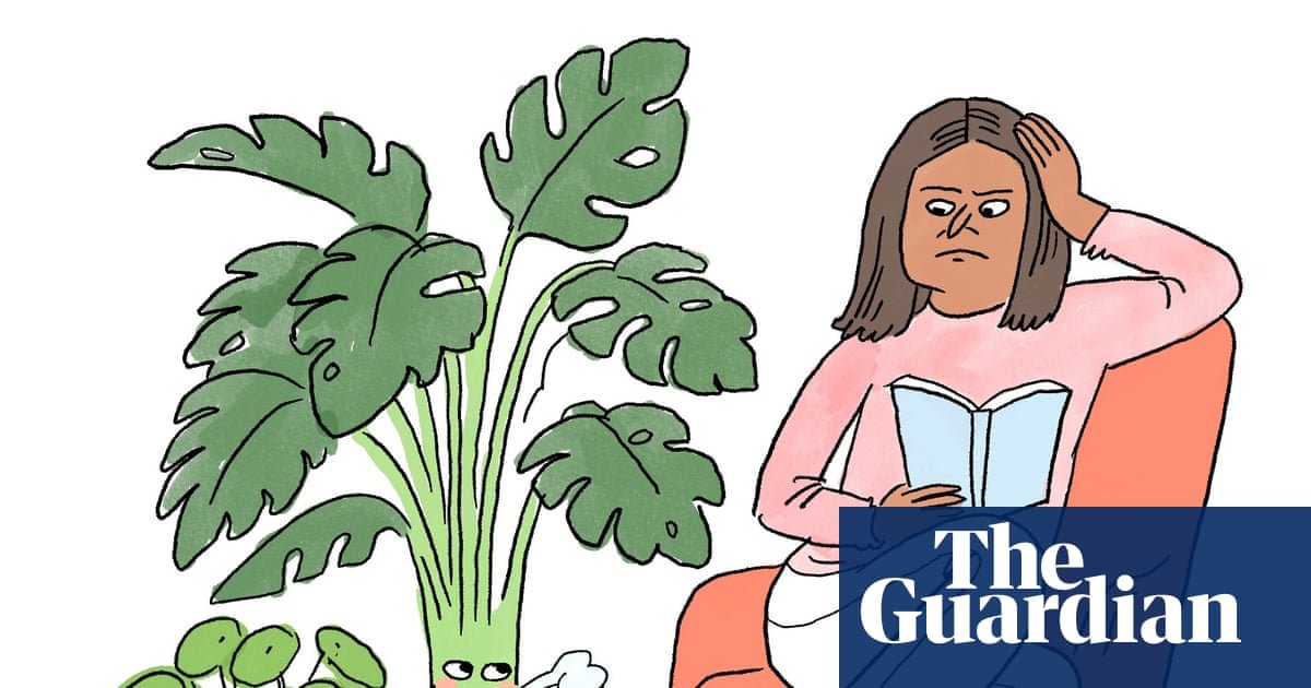 Is it true that … houseplants freshen the air in our homes and offices?