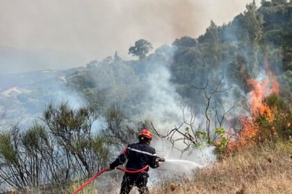Death penalty bill for forest arsonists clears Algeria lower house