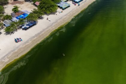 Sea around popular tourist island turned a bright smelly green