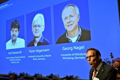 Nobel prize in medicine awarded to scientists studying mysteries of the brain