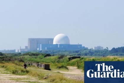 Green party drops longstanding opposition to nuclear power