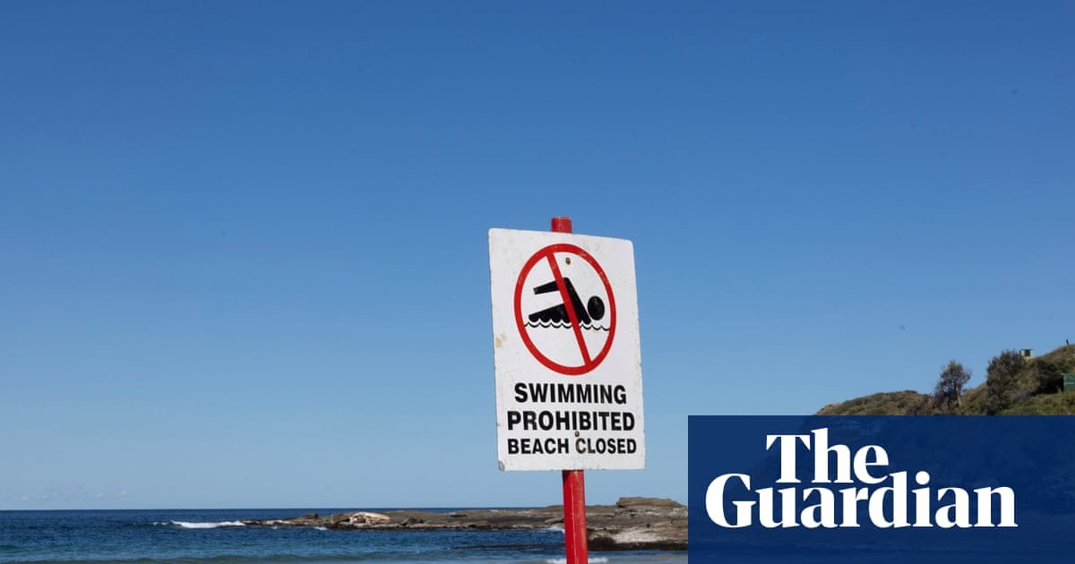 Authorities issue shark warning over whale that swam 11km upstream in Clarence River and later died