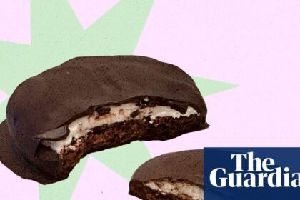 Cheaper chips and melty mint slices: I try making five common ultra-processed foods from scratch – without the additives