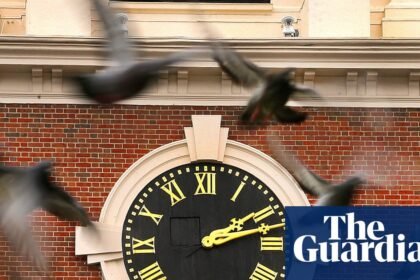 Boston mass transit authorities flap around for solution to pigeon menace