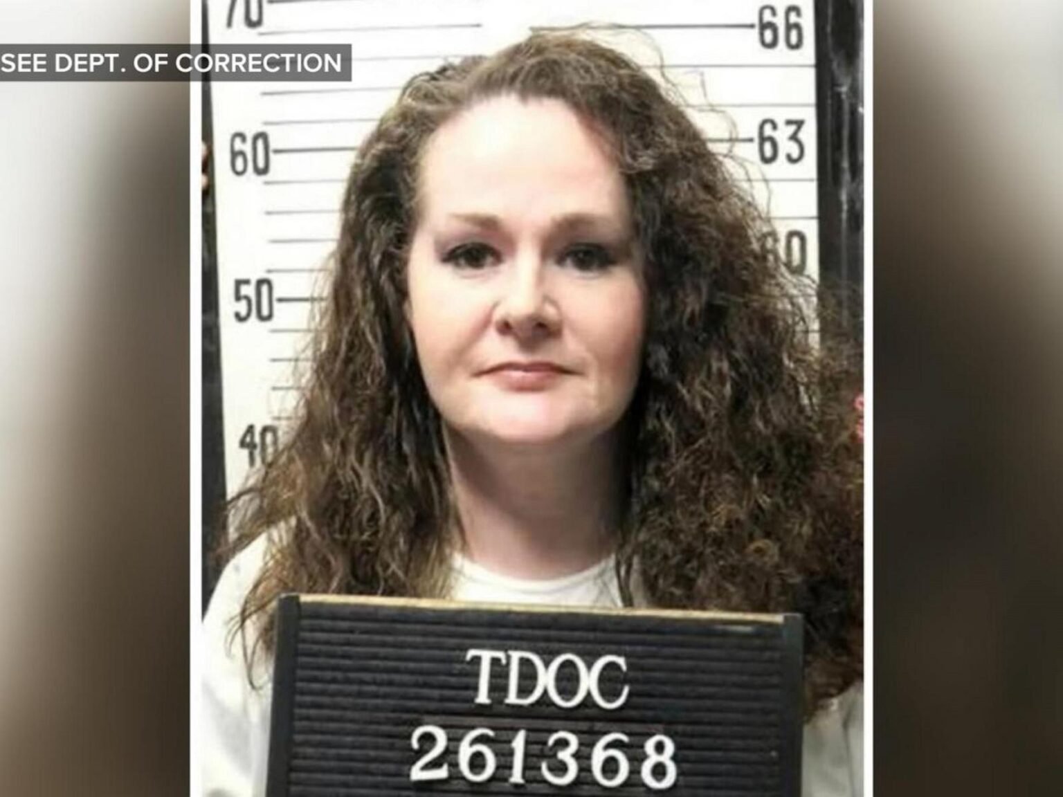 Judge grants motion to preserve evidence in Christa Pike's botched execution