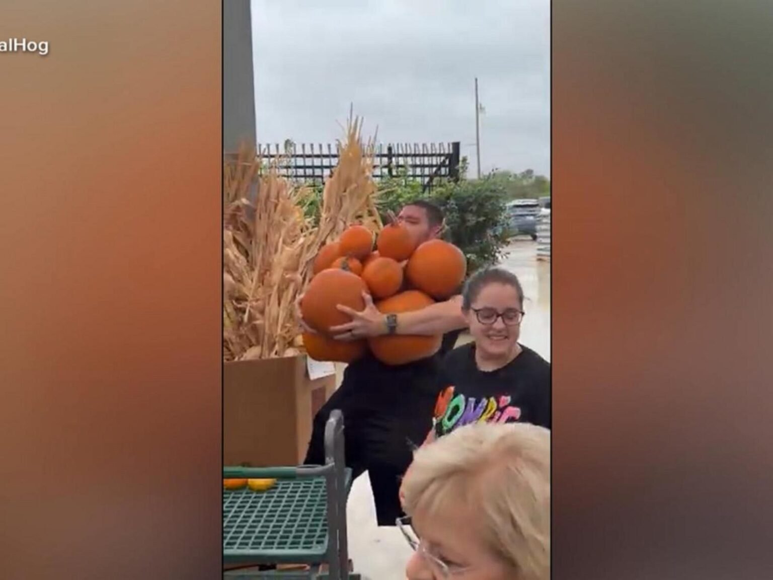 WATCH:  All-you-can-carry pumpkin deal