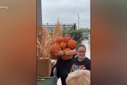 WATCH:  All-you-can-carry pumpkin deal