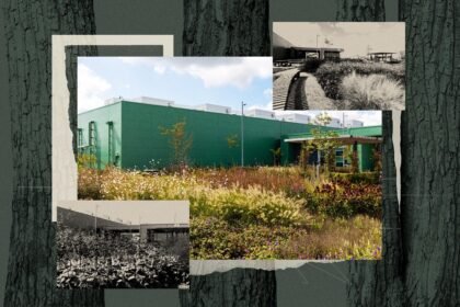 If a data center is camouflaged in the woods, will anyone hate it?