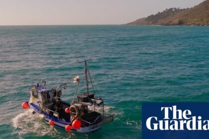 Floating scarecrows: how Cornish fishers are stopping seabirds drowning in their nets