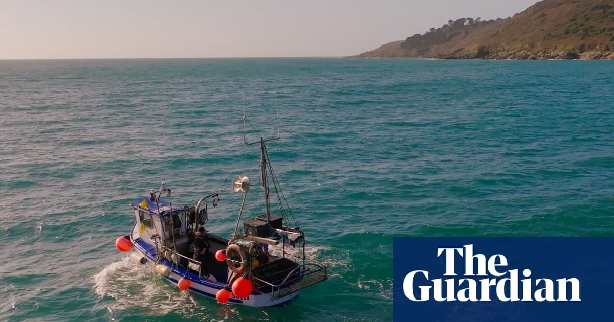 Floating scarecrows: how Cornish fishers are stopping seabirds drowning in their nets