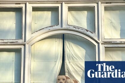 ‘They looked like two curtain-twitchers, though not very subtle ones’: Peter Crome’s best phone picture